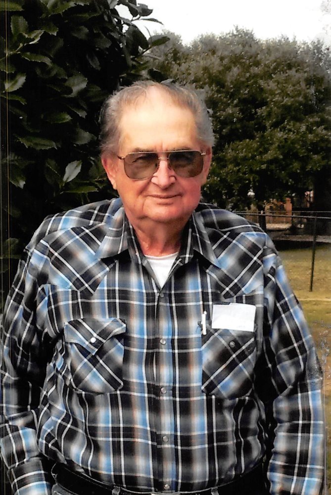 Curtis Wilkinson